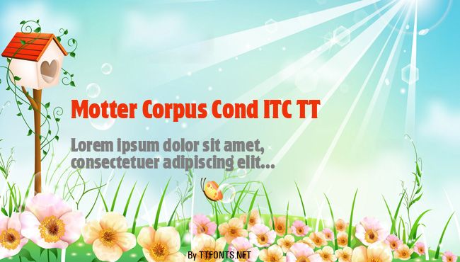 Motter Corpus Cond ITC TT example